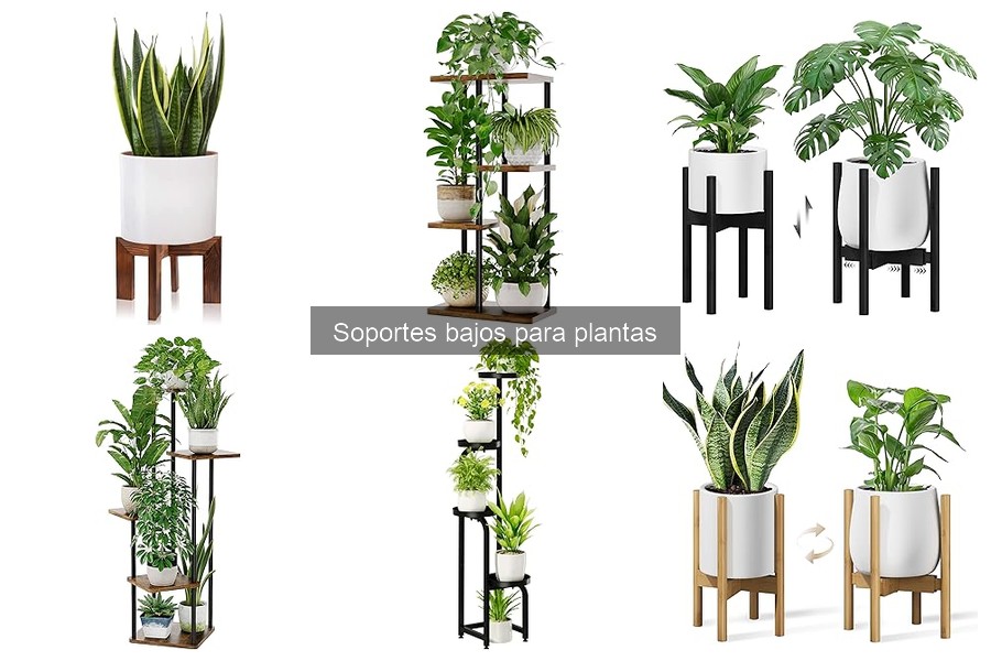 Ideas creativas para usar soportes bajos en decoración