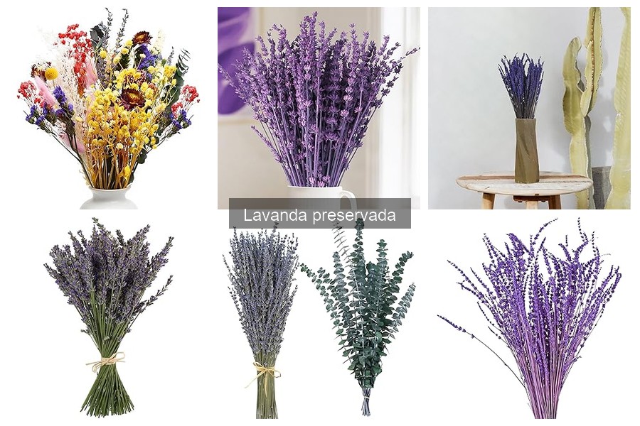 Ideas encantadoras para regalar con lavanda preservada