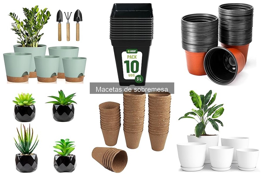 Ideas para Decorar con Macetas de Sobremesa en tu Hogar
