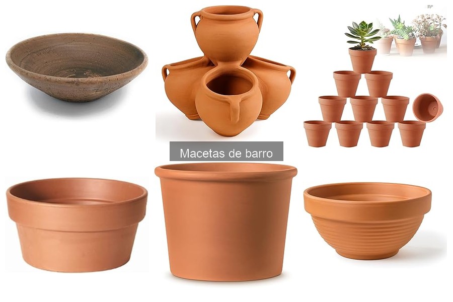 Influencia de las Macetas de Barro en el Crecimiento de Plantas
