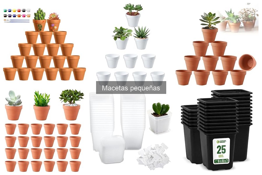 Las Mejores Macetas Pequeñas para Suculentas