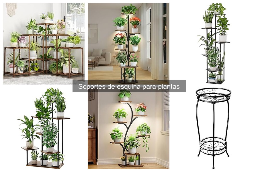 Los mejores soportes de esquina para plantas en espacios pequeños