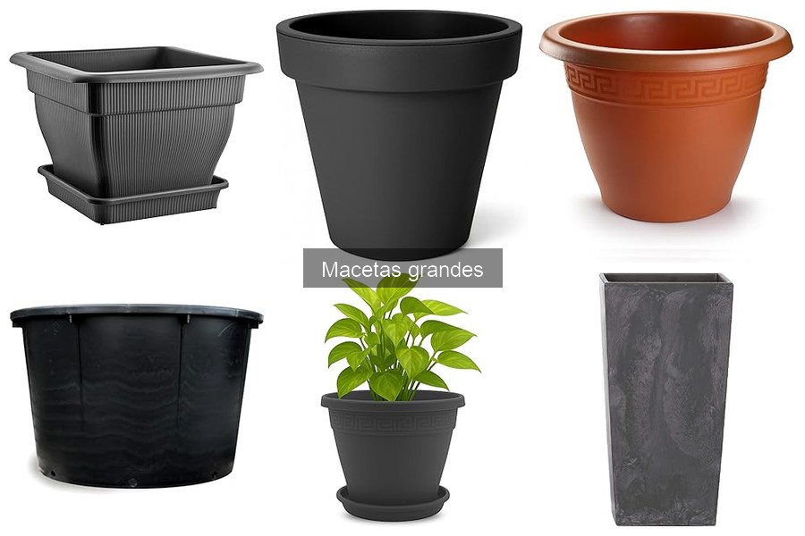 Macetas grandes para plantas específicas: las mejores opciones