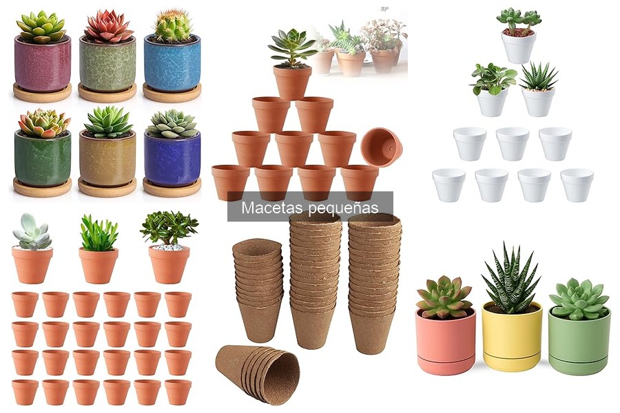 Macetas pequeñas para cultivar hierbas en casa: guía y recomendaciones