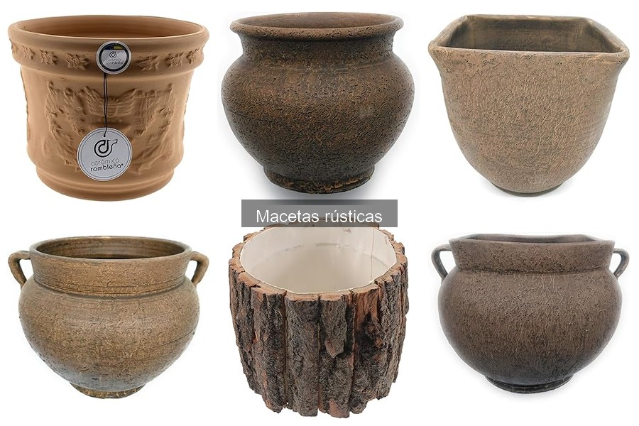 Macetas rústicas: ¿Qué son y cómo utilizarlas en casa?