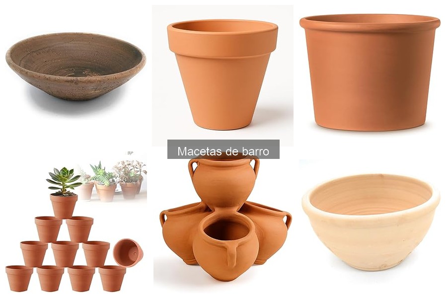 Mantenimiento de macetas de barro: cuidados esenciales