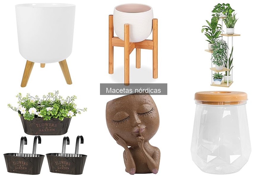 Mantenimiento de macetas nórdicas: consejos y cuidados