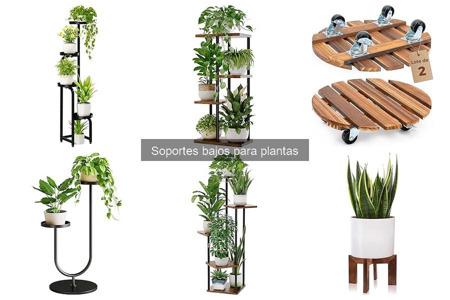 Mantenimiento de Soportes Bajos para Plantas: Consejos Útiles