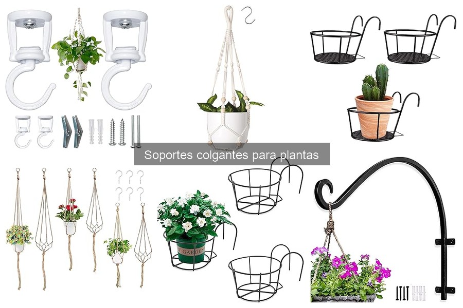 Mantenimiento de Soportes Colgantes para Plantas: Guía Esencial