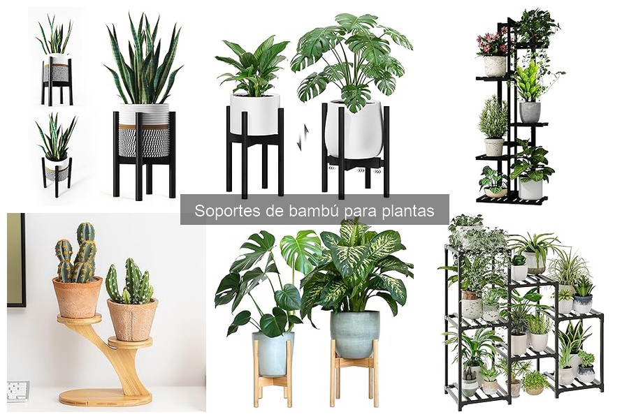 Mantenimiento de Soportes de Bambú para Plantas: Guía Útil