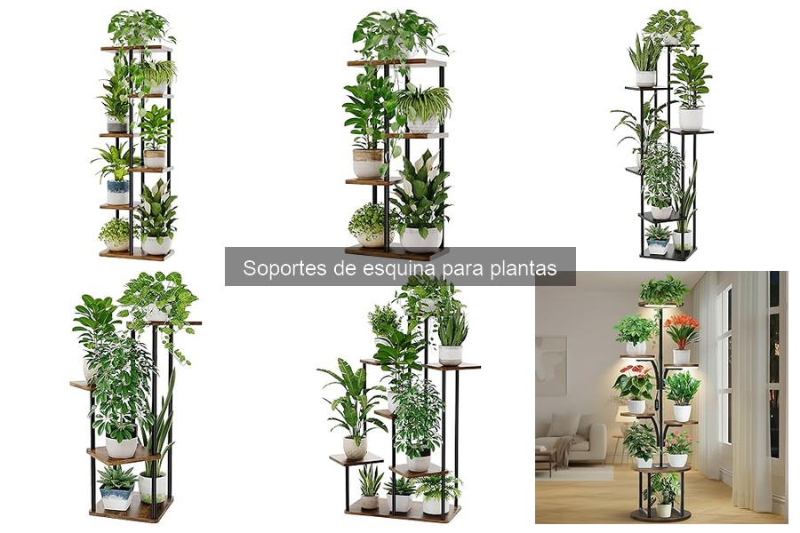 Mantenimiento de Soportes de Esquina para Plantas: Guía Útil