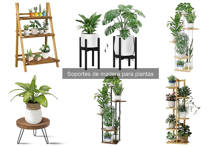 Mantenimiento de soportes de madera para plantas: guía práctica