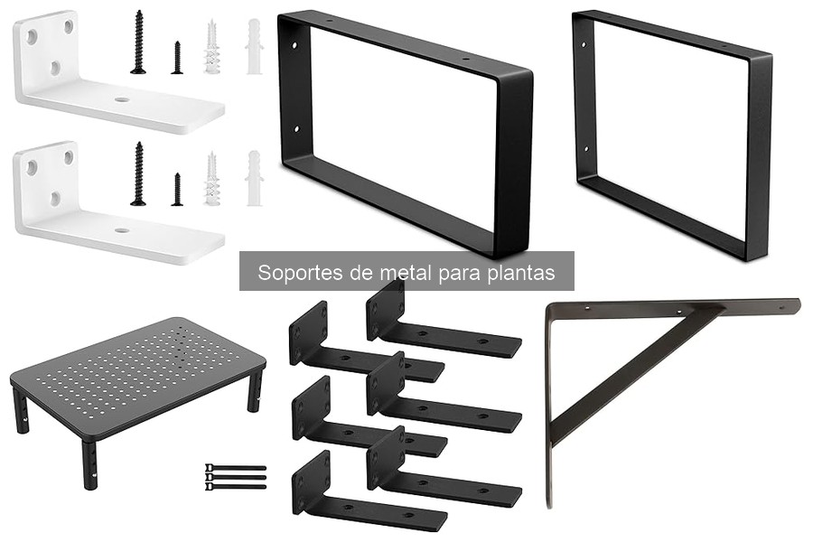 Mantenimiento de Soportes de Metal para Plantas: Guía Práctica