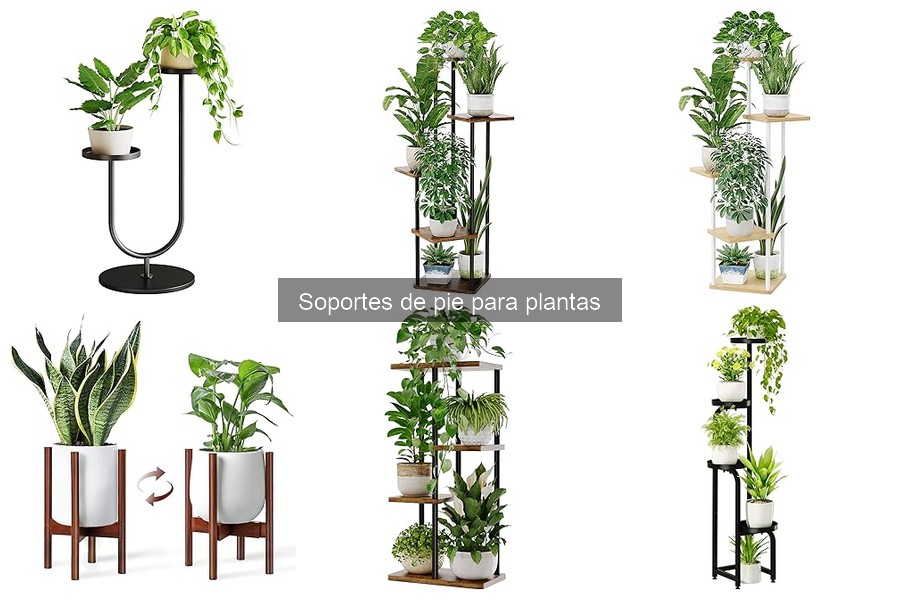 Mantenimiento de Soportes de Pie para Plantas: Guía y Consejos