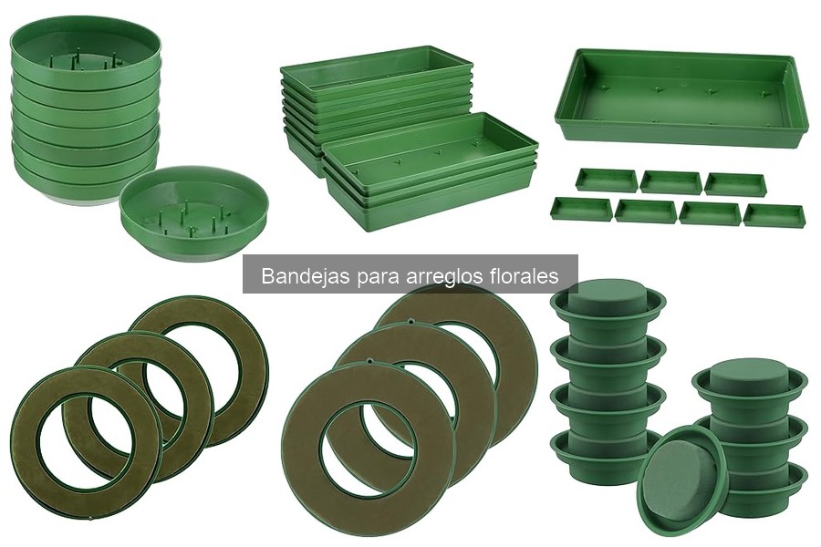 Mejores bandejas para arreglos florales según presupuesto