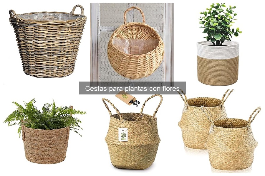 Mejores cestas para plantas con flores en Amazon: Guía 2023