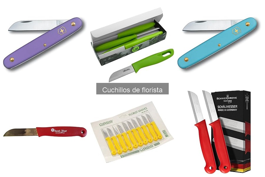 Mejores cuchillos de florista para principiantes en 2023