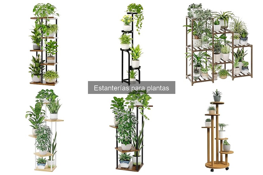 Mejores estanterías para plantas en espacios pequeños
