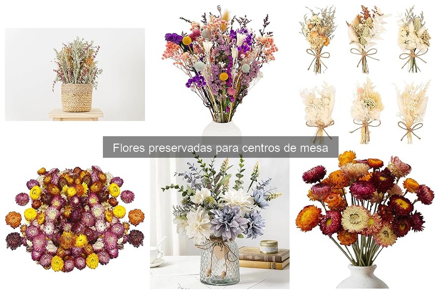 Mejores flores preservadas para eventos: comparativa y precios