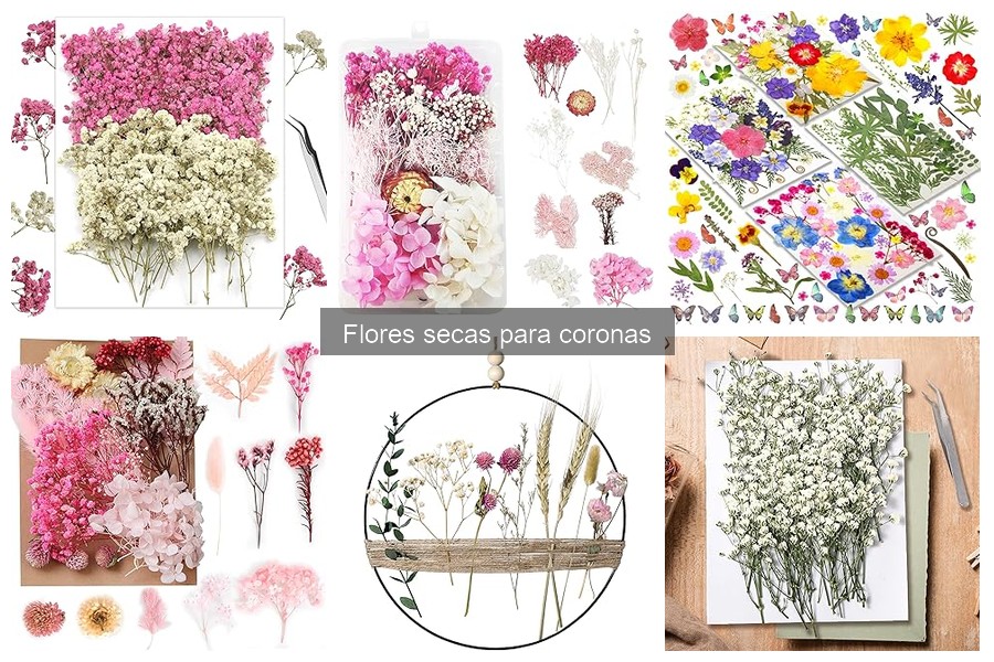 Mejores flores secas para coronas en 2023: Top opciones