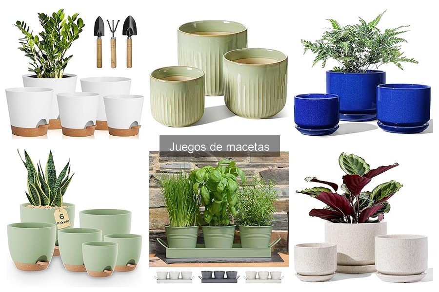 Mejores juegos de macetas para casas pequeñas: comparativa