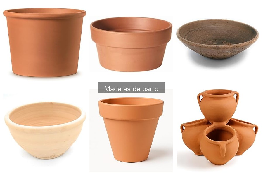 Mejores lugares para comprar macetas de barro en 2023
