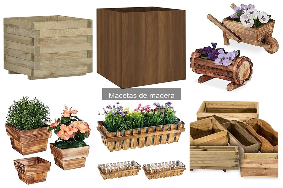 Mejores macetas de madera para interiores: guía completa