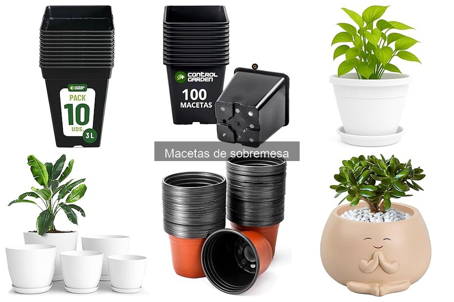 Mejores macetas de sobremesa para plantas de interior