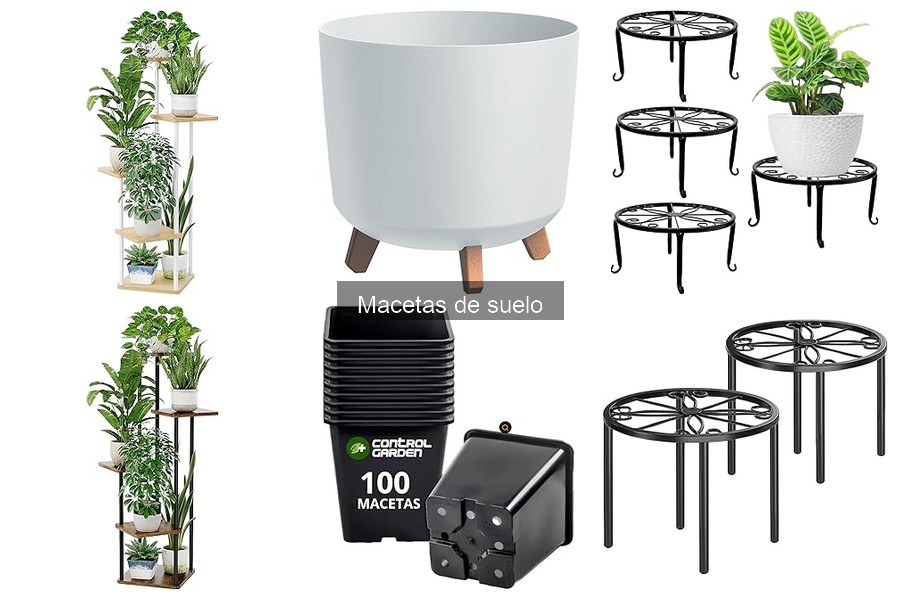 Mejores macetas de suelo para plantas interiores: comparativa