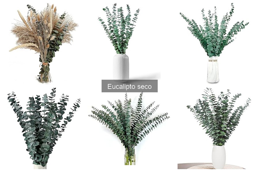 Mejores marcas de eucalipto seco para decoración del hogar
