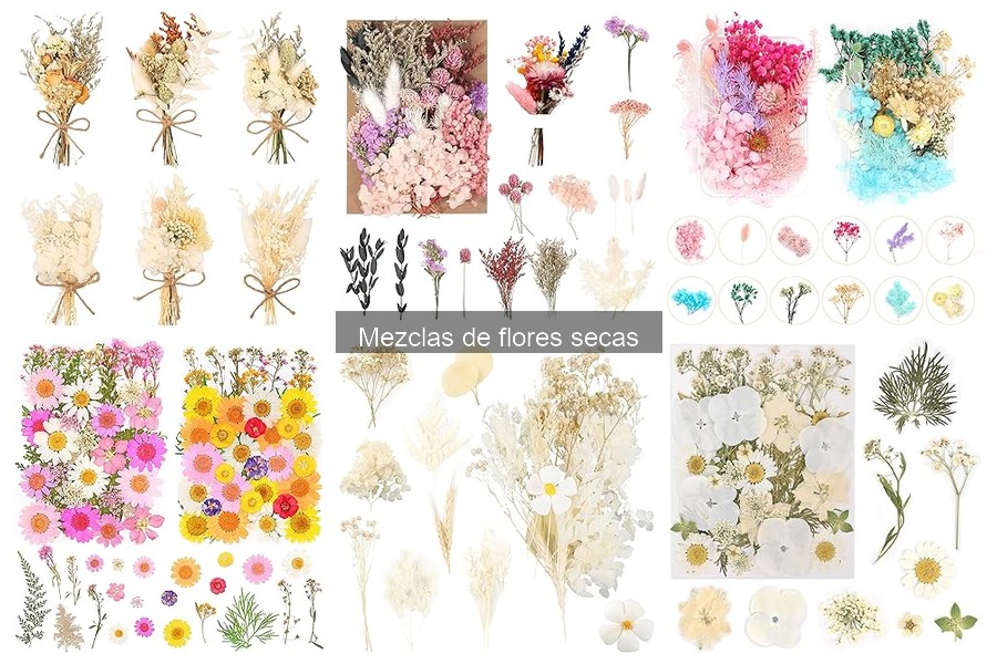 Mejores marcas de mezclas de flores secas para tu hogar