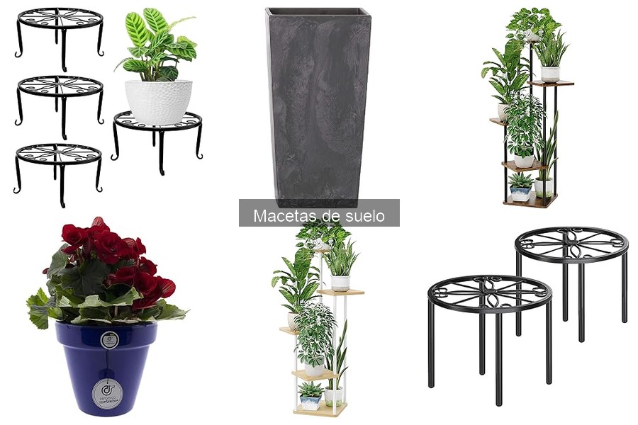 Mejores materiales para macetas de suelo: guía completa