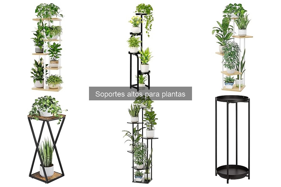Mejores Soportes Altos para Plantas de Exterior en 2023
