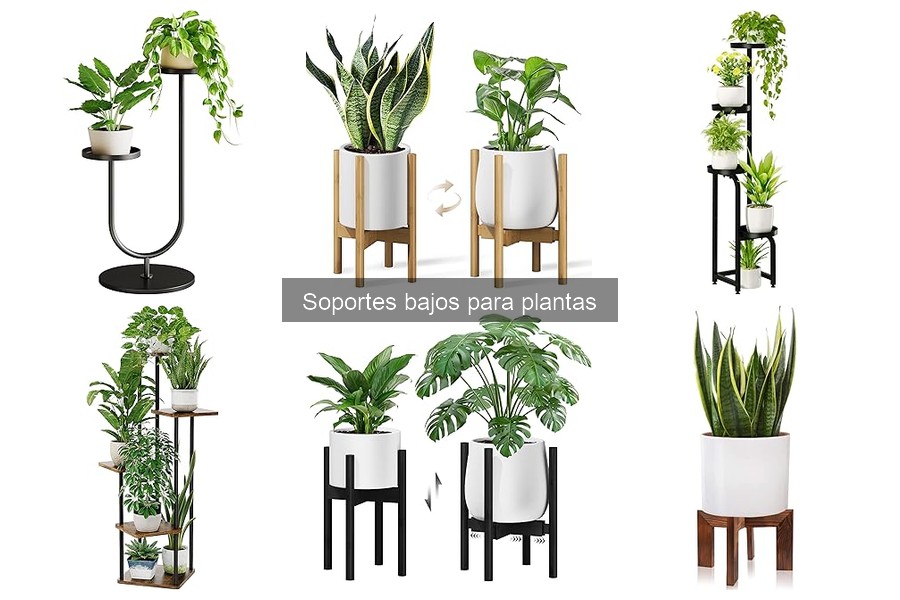 Mejores soportes bajos para plantas en interiores 2023