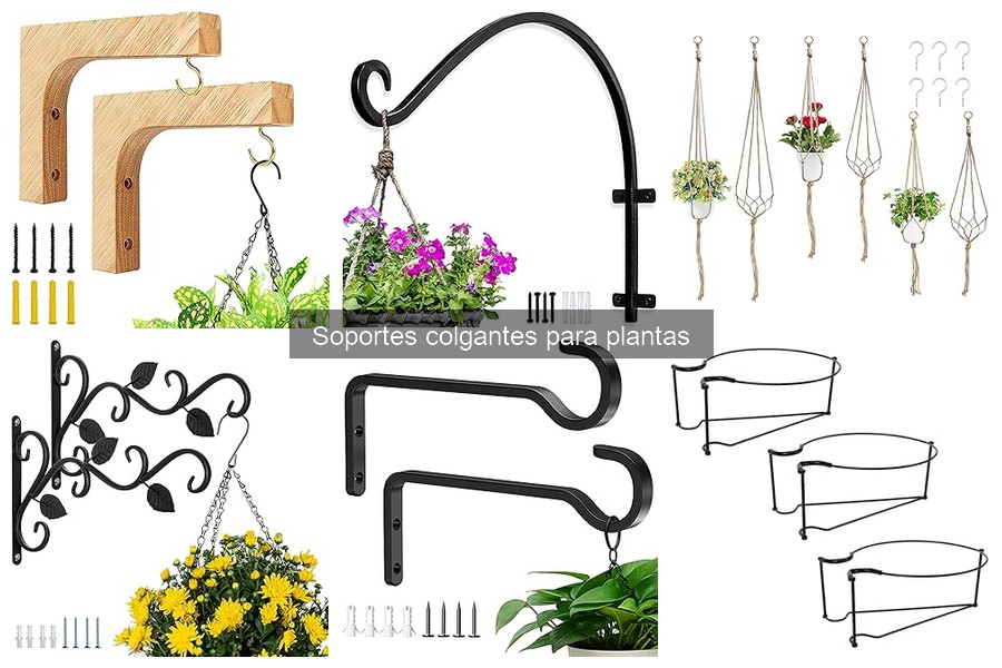Mejores soportes colgantes para plantas según tu estilo decorativo