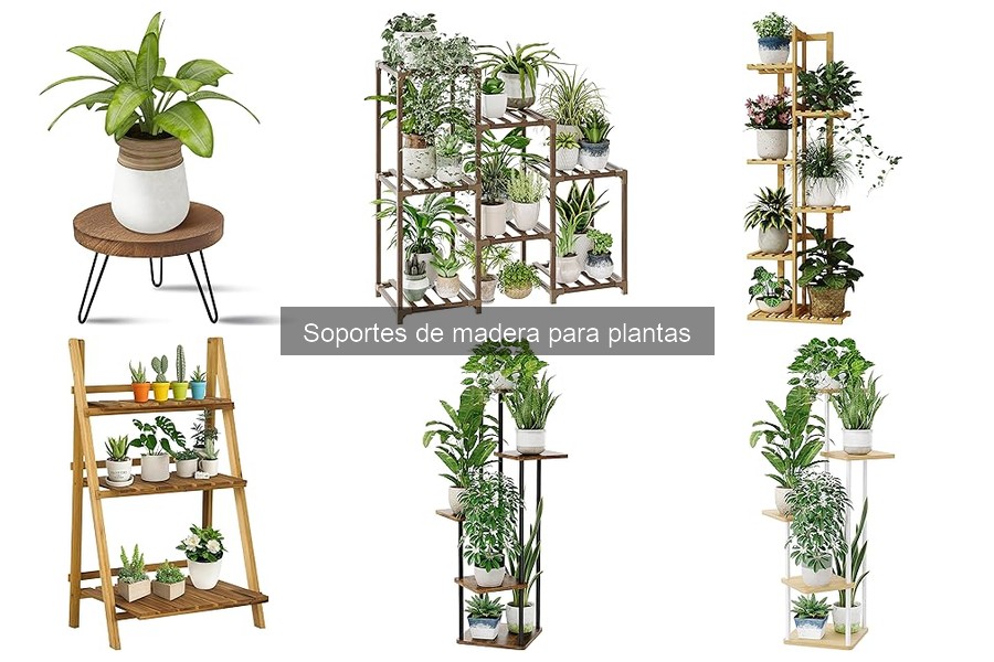 Mejores soportes de madera para plantas del 2023