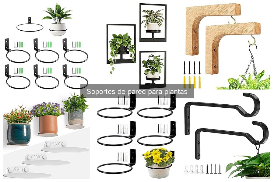 Mejores soportes de pared para plantas en 2023