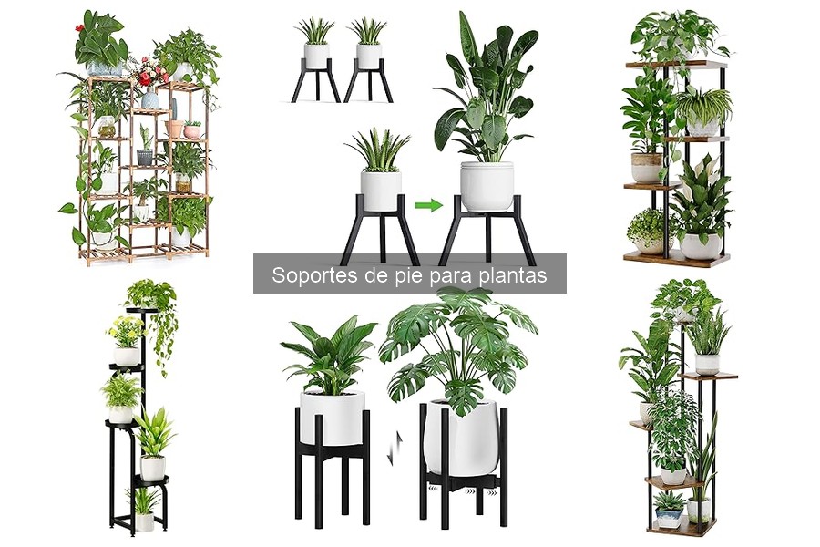 Mejores Soportes de Pie para Plantas: Interiores y Exteriores