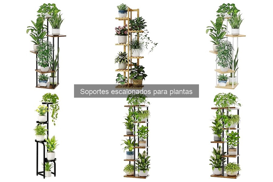 Mejores soportes escalonados para interiores: estilo y funcionalidad