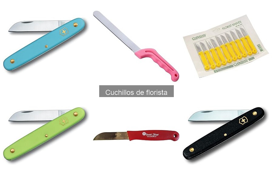 Mejores tiendas online para comprar cuchillos de florista