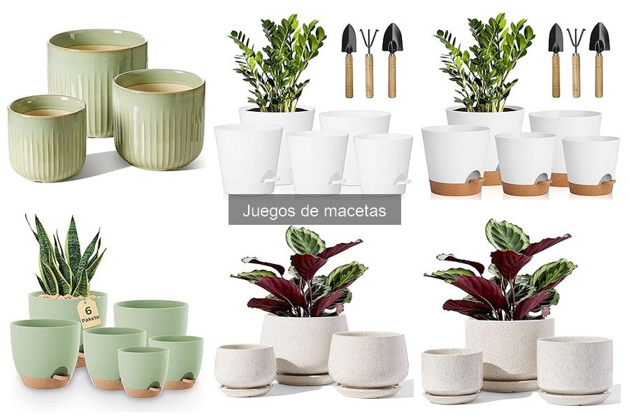 Mejores tiendas para comprar juegos de macetas en promoción