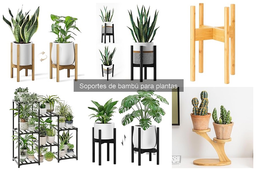 Ofertas en soportes de bambú para plantas: ahorra hoy