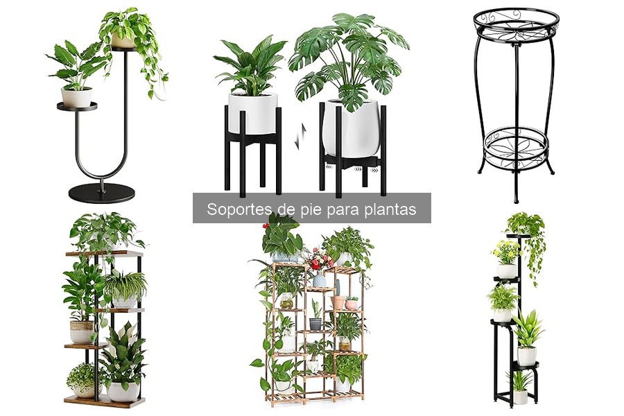 Opiniones de Soportes de Pie para Plantas Bamworld