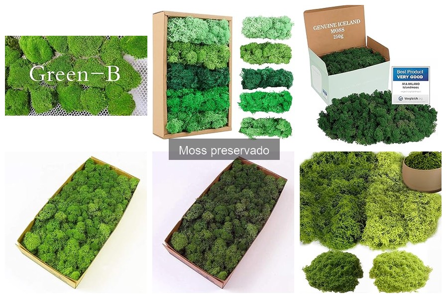 Opiniones sobre marcas de musgo preservado para decoración