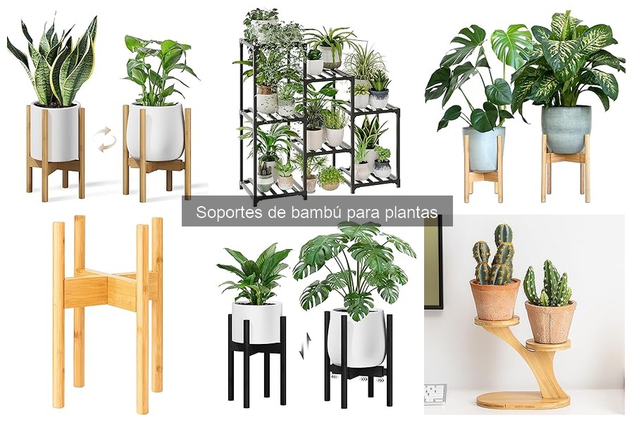 Opiniones sobre Soportes de Bambú para Plantas