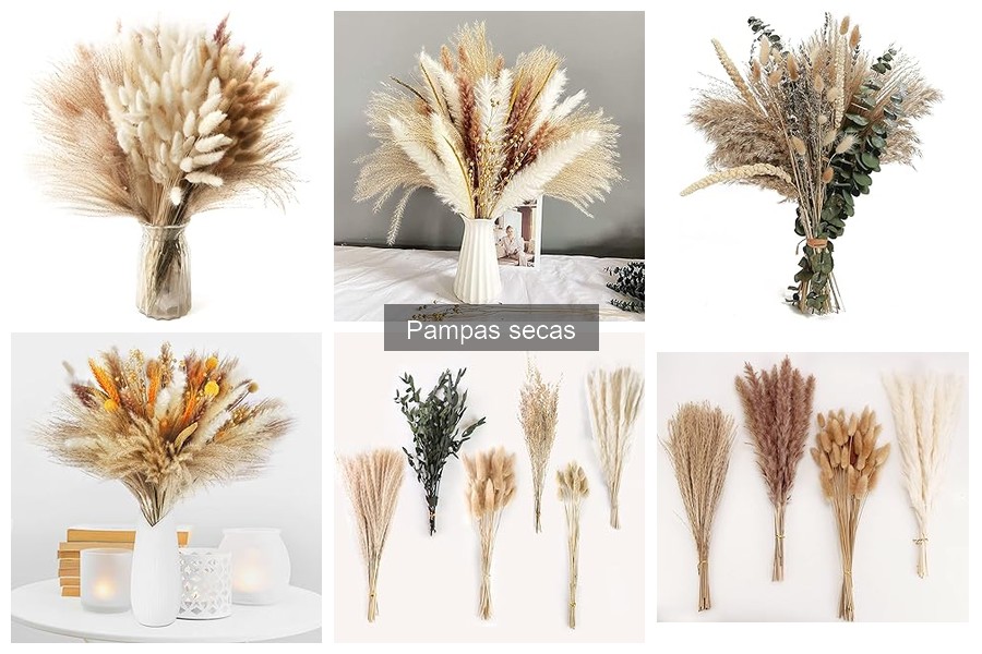 Pampas Secas: ¿Por qué son tan populares en decoración?