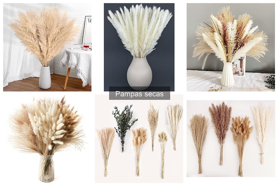 Pampas Secas: Precios y Factores que Influyen en el Costo