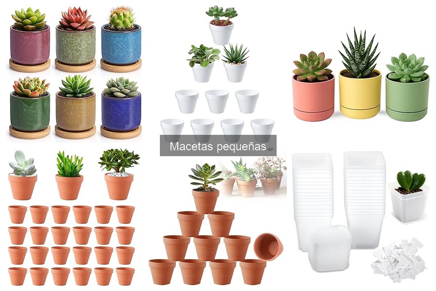 Personaliza tus macetas pequeñas con estas creativas ideas