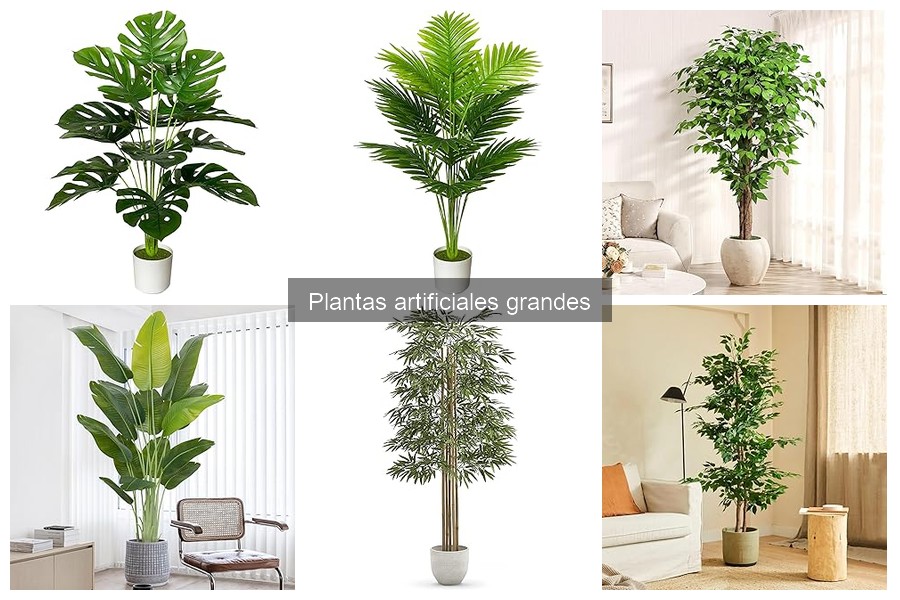 Plantas artificiales grandes: características y tipos