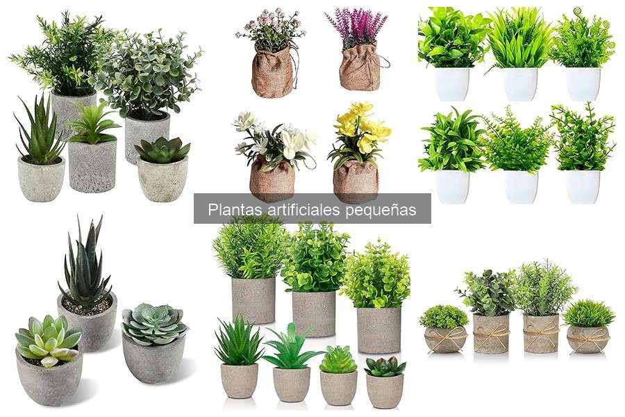 Plantas artificiales pequeñas vs. naturales: ¿Cuál elegir?